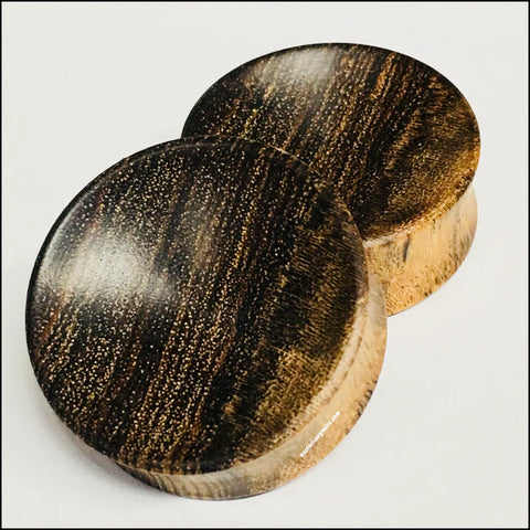 Zebrawood Concave Solids Plugs